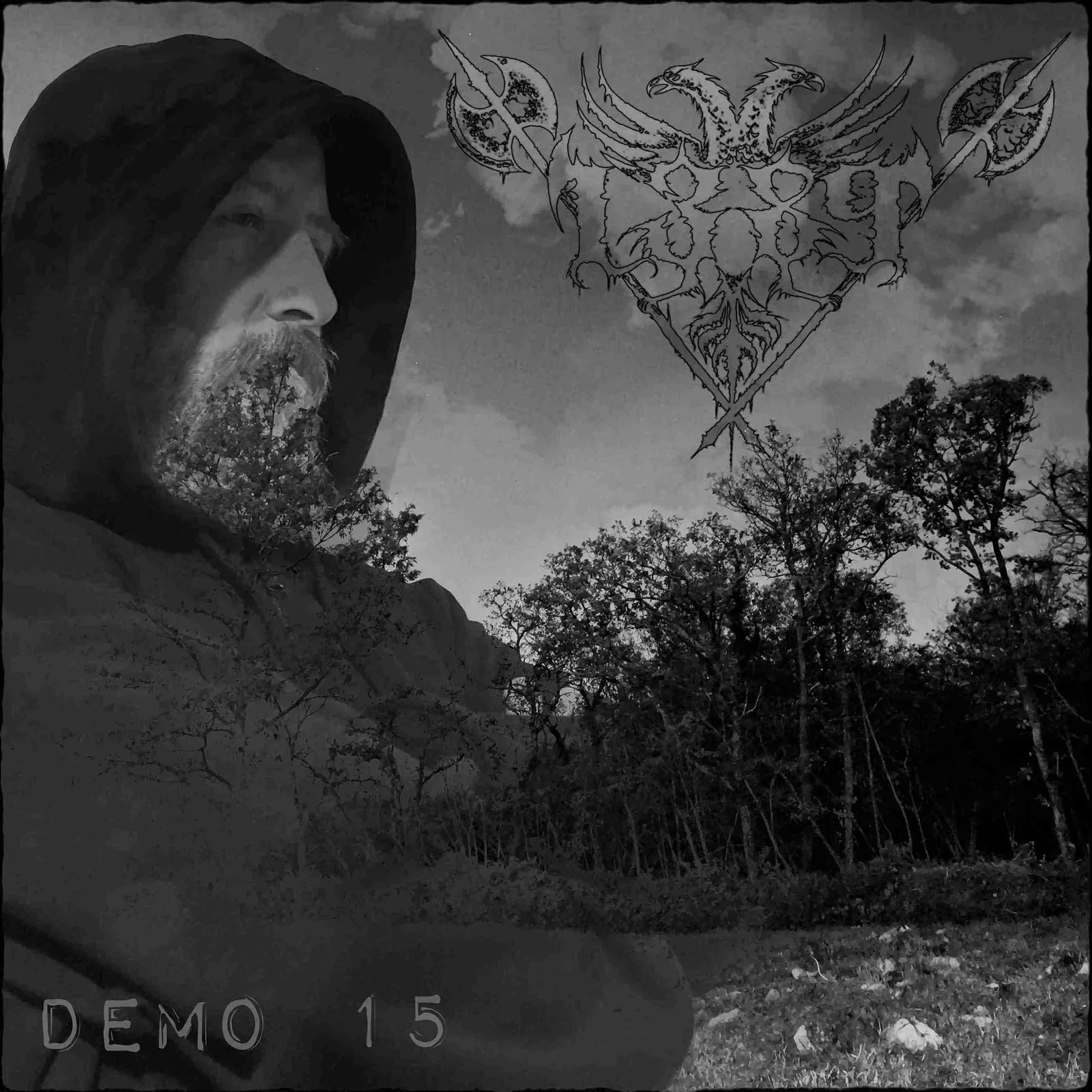 Demo 15