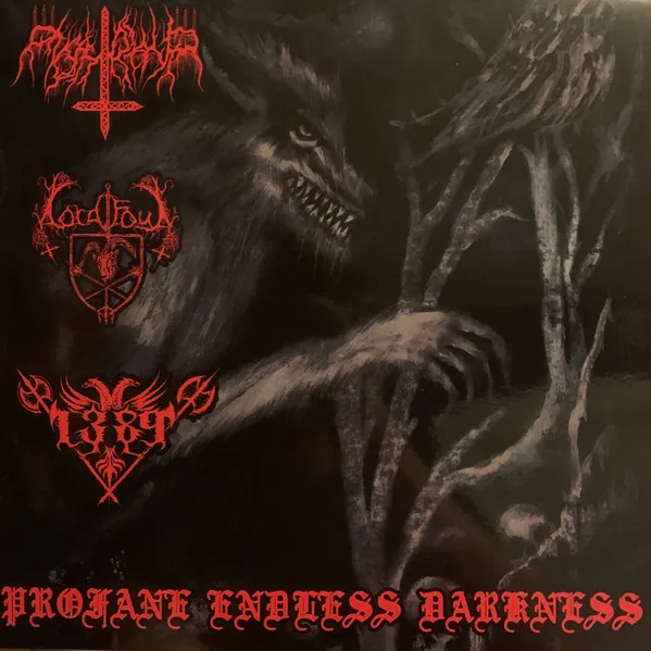 1389 - Profane Endless Darkness Album Cover