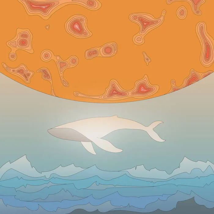 350teric - Embodied Album Cover Artwork