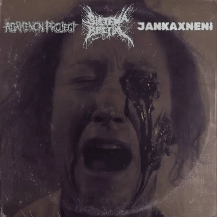 Agamenon Project - Agamenon Project x Sistema Bestial x JankaxNeni Album Cover
