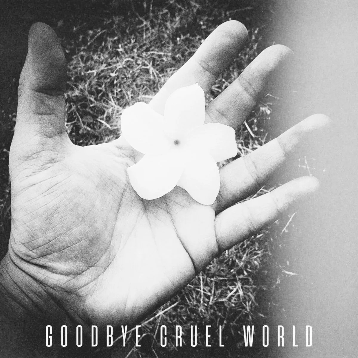 Goodbye Cruel World