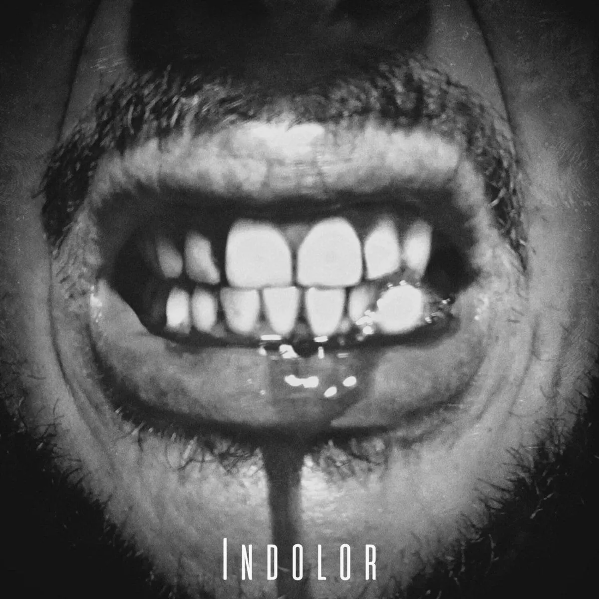 Agamenon Project - Indolor Album Cover Artwork