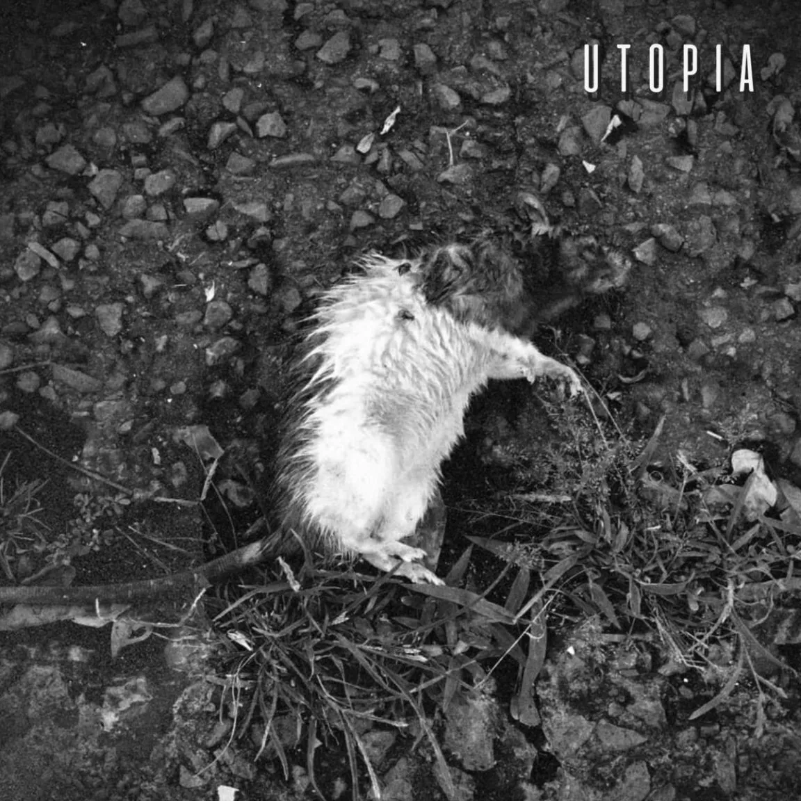 Utopia