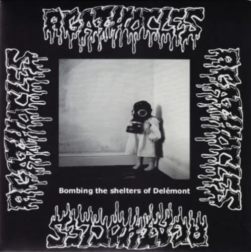 Bombing the Shelters of Delémont Album Cover