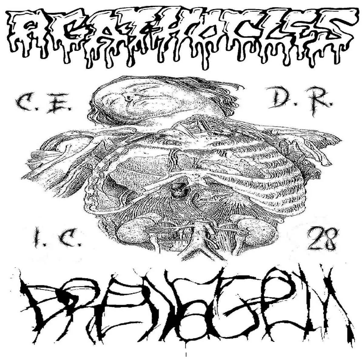 Agathocles - Caos Extremo Desta Realidade Impiadosamente Compulsiva Album Cover Artwork