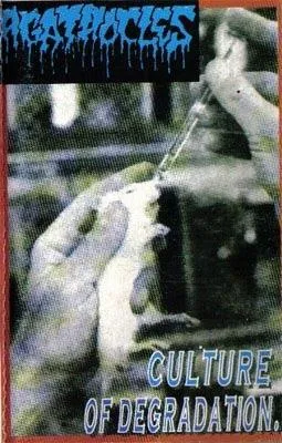Culture of Degradation Album Cover