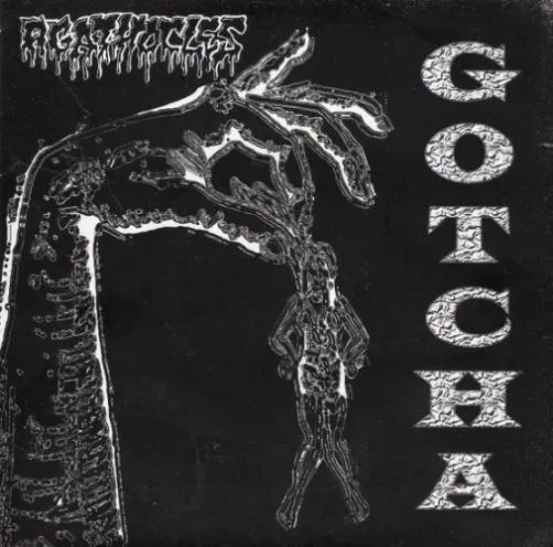Gotcha Album Cover