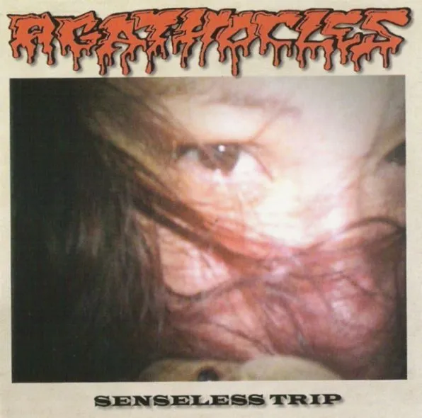Senseless Trip Album Cover