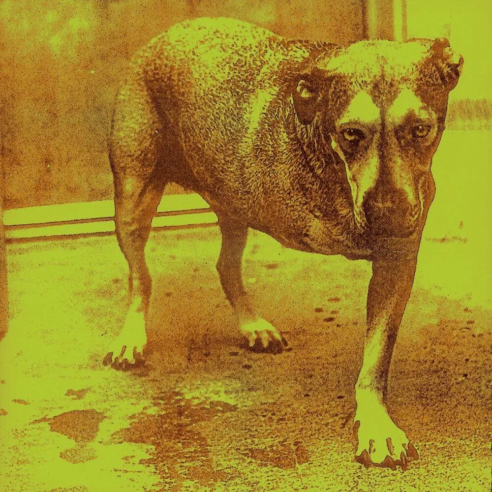 Alice in Chains Album Cover