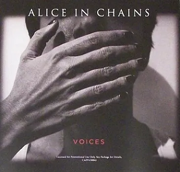 Voices