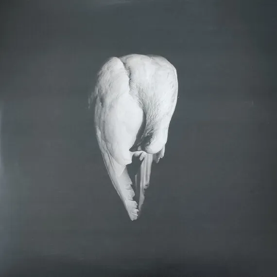 Amenra - Live at dunk!2021 Album Cover