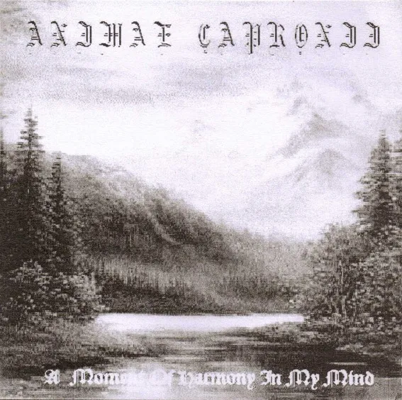 Animae Capronii - A Moment of Harmony in My Mind Album Cover Artwork