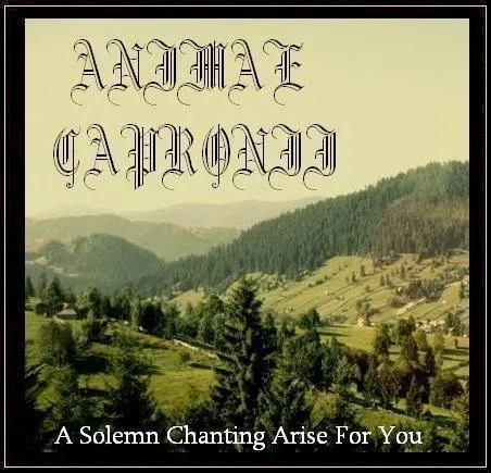 Animae Capronii - A Solemn Chanting Arise for You Album Cover