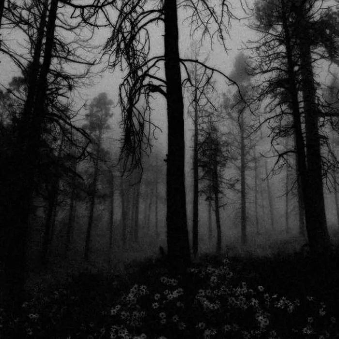 Balch - Morgenstern Album Cover Artwork