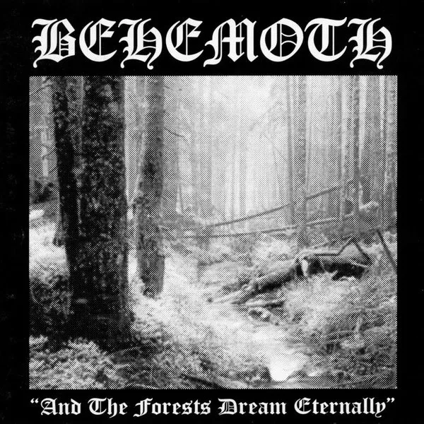 And the Forests Dream Eternally Album Cover