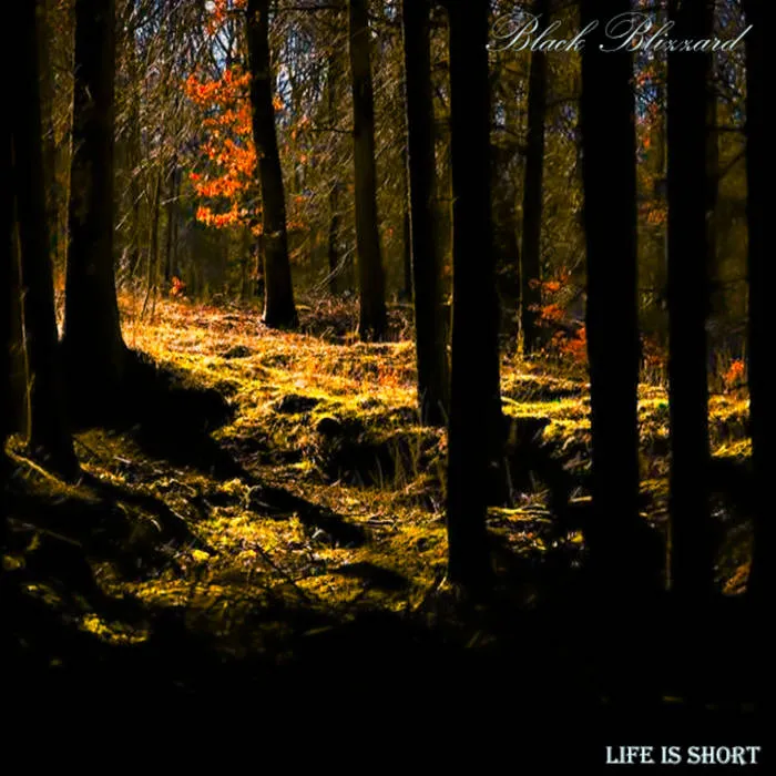 Black Blizzard - Life Is Short Album Cover