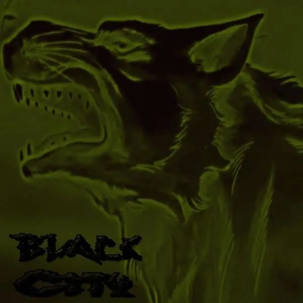 Black City - Demo 70 Album Cover Artwork