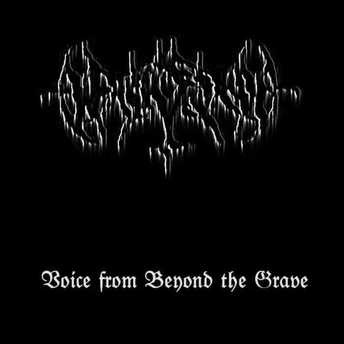 Voice from Beyond the Grave Album Cover
