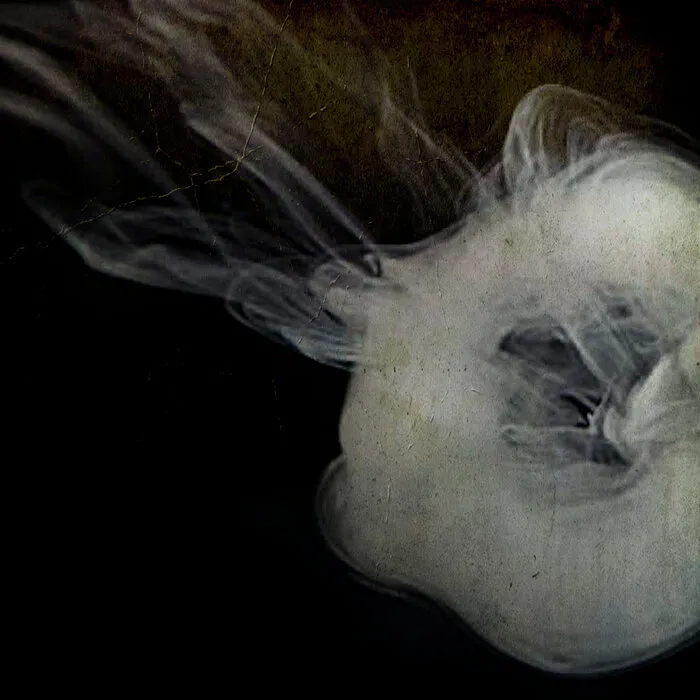 Smoke Rings