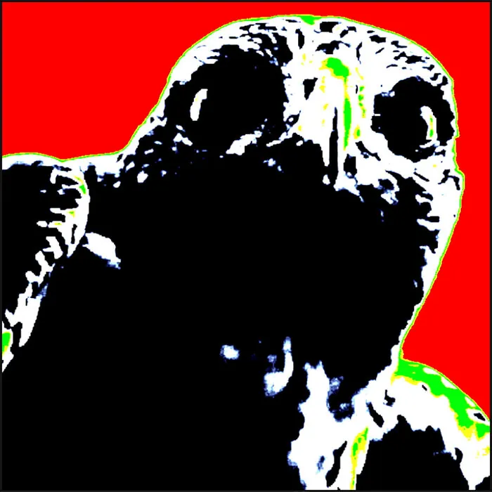 BoB - Wild Birds Album Cover