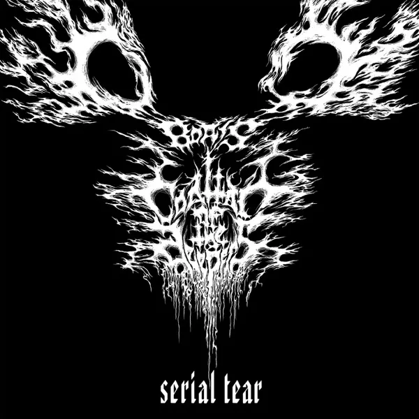 Boris - Serial Tear Album Cover