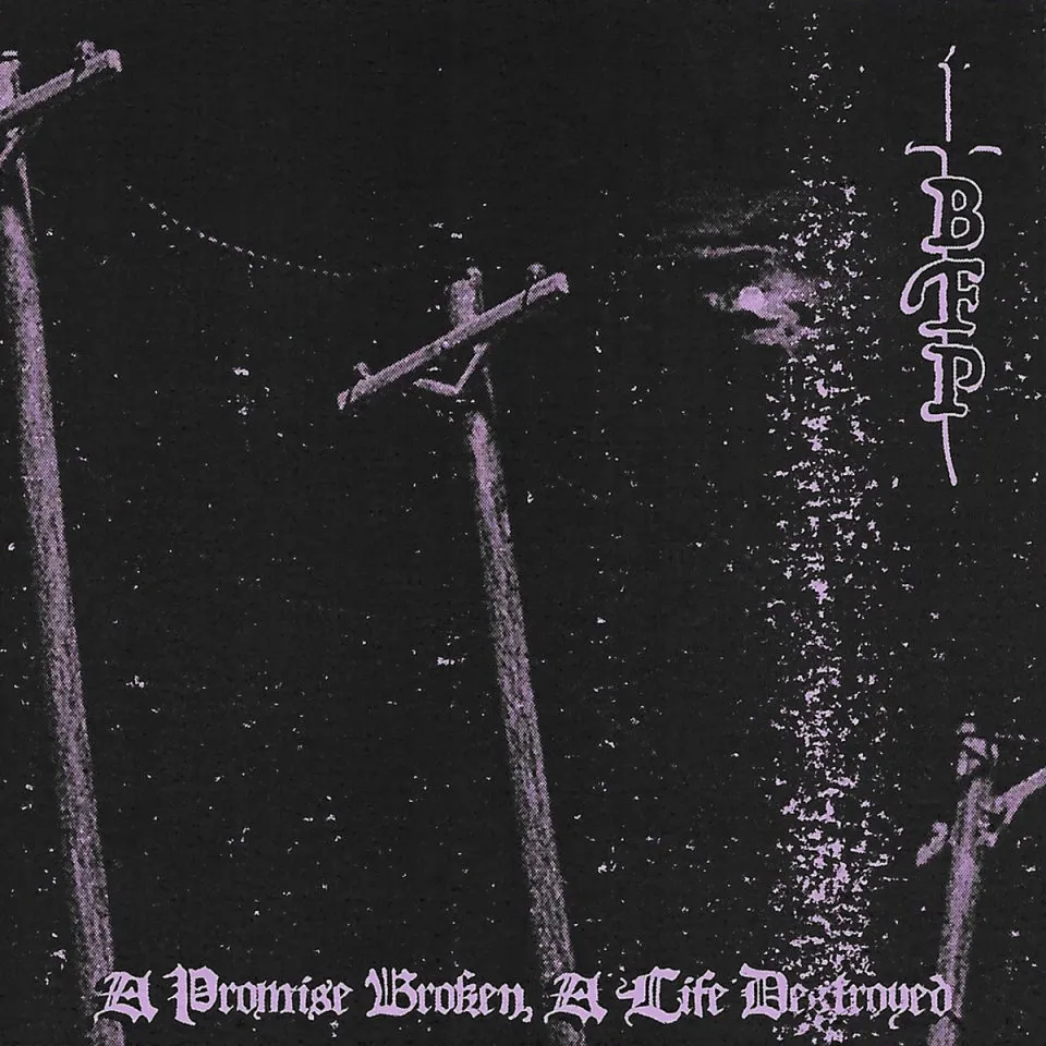 Born from Pain - A Promise Broken, a Life Destroyed Album Cover
