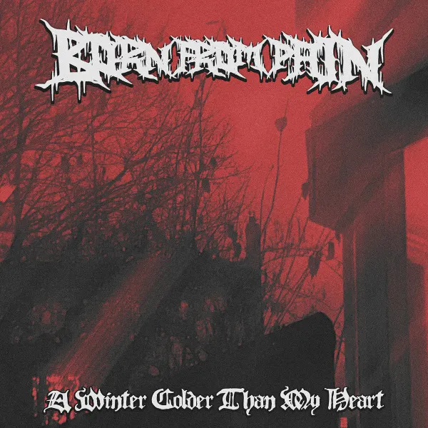 Born from Pain - A Winter Colder than My Heart Album Cover