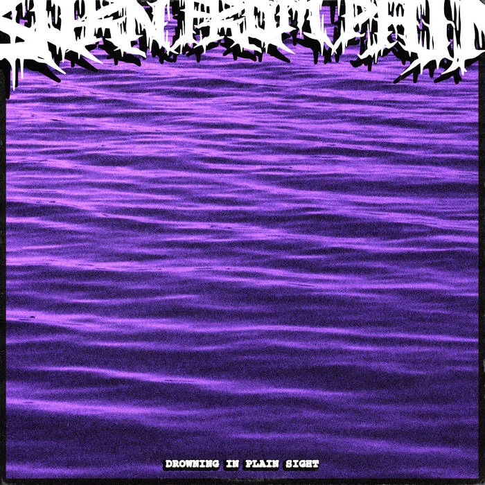 Born from Pain - Drowning in Plain Sight Album Cover