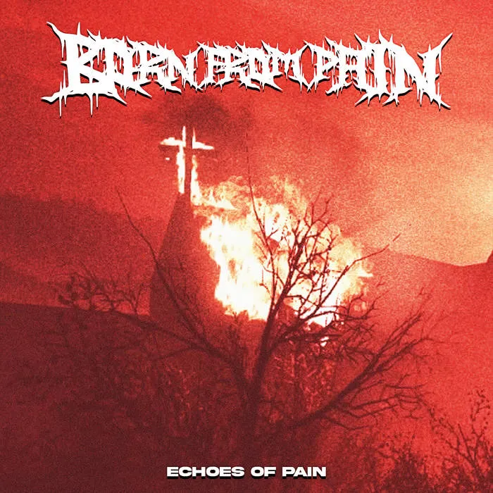 Born from Pain - Echoes of Pain Album Cover Artwork
