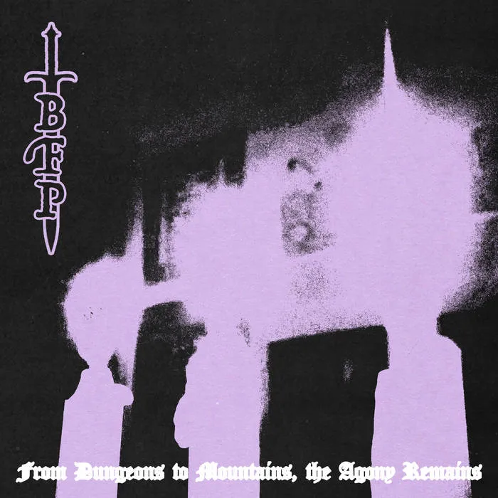Born from Pain - From Dungeons to Mountains, the Agony Remains Album Cover Artwork