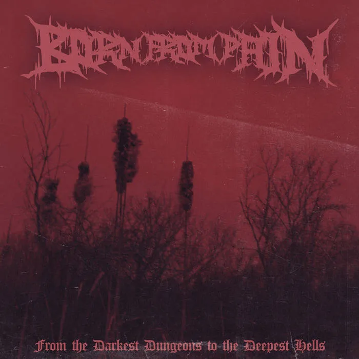From the Darkest Dungeons to the Deepest Hells Album Cover