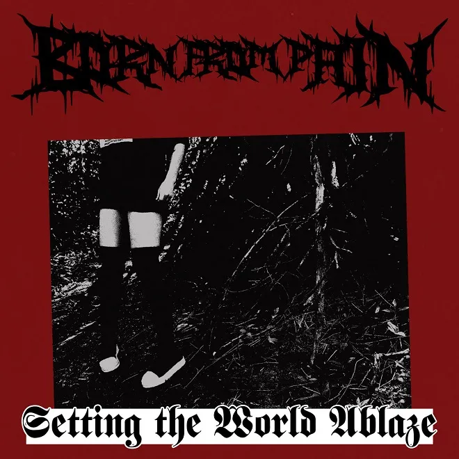Setting the World Ablaze Album Cover