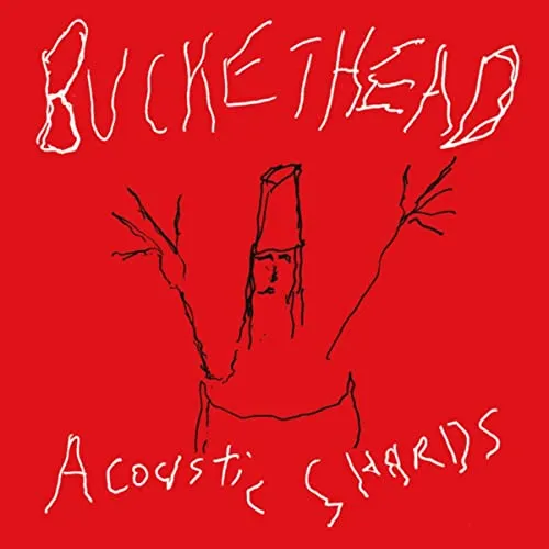 Buckethead - Acoustic Shards Album Cover Artwork