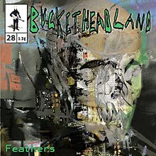 Buckethead - Pike 28 - Feathers Album Cover Artwork