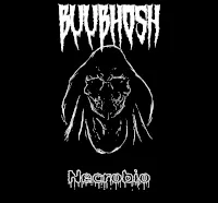 Buubhosh - Necrobio Album Cover