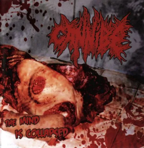 Cannibe - The Mind Is Collapsed Album Cover Artwork