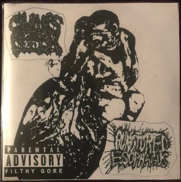 Clumps of Flesh - Parental Advisory Filthy Gore Album Cover Artwork