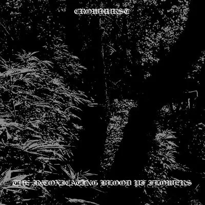 Crowhurst - The Intoxicating Blood of Flowers Album Cover