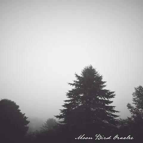 Crown of Asteria - Moon Bird Oracles Album Cover Artwork