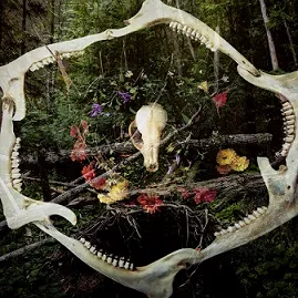 Crown of Asteria - Seasonal Remnants Album Cover