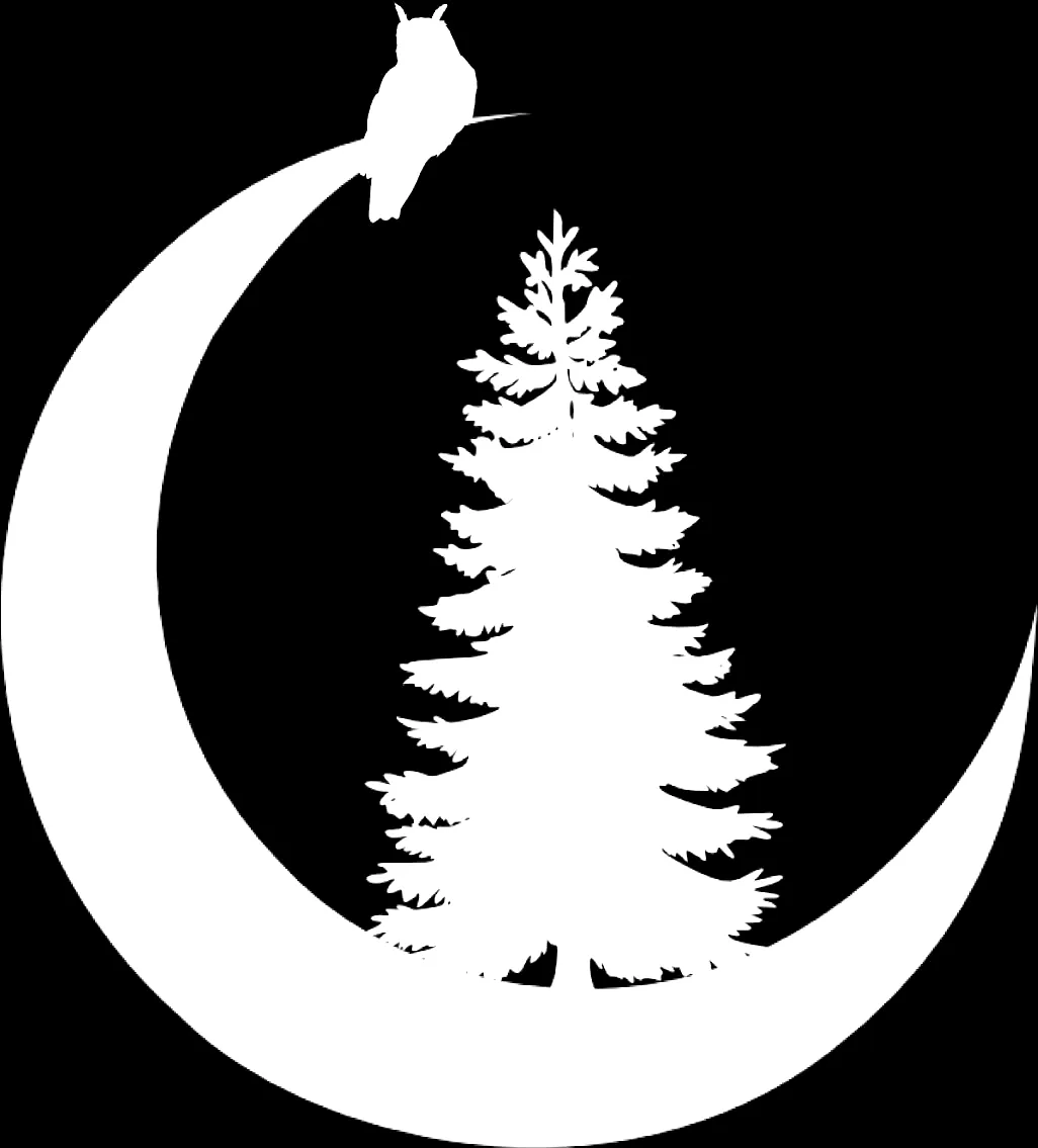 Crown of Asteria Logo