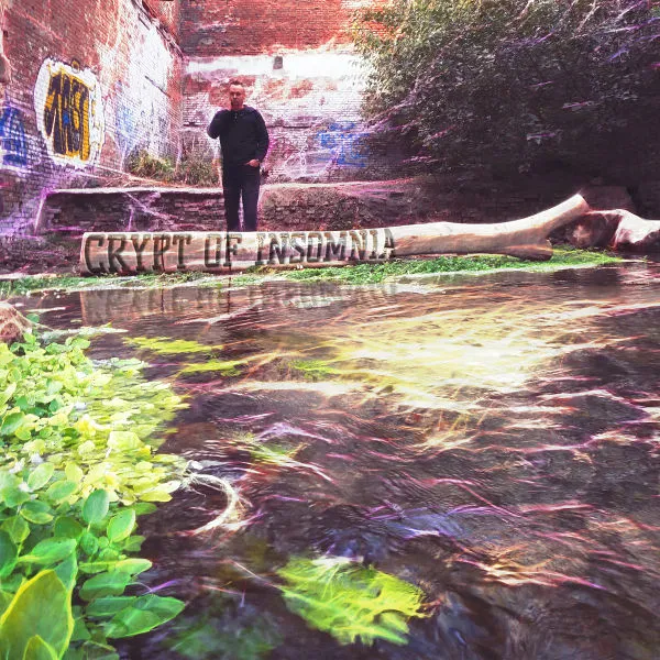 Crypt of Insomnia - The Crypt of Insomnia Album Cover