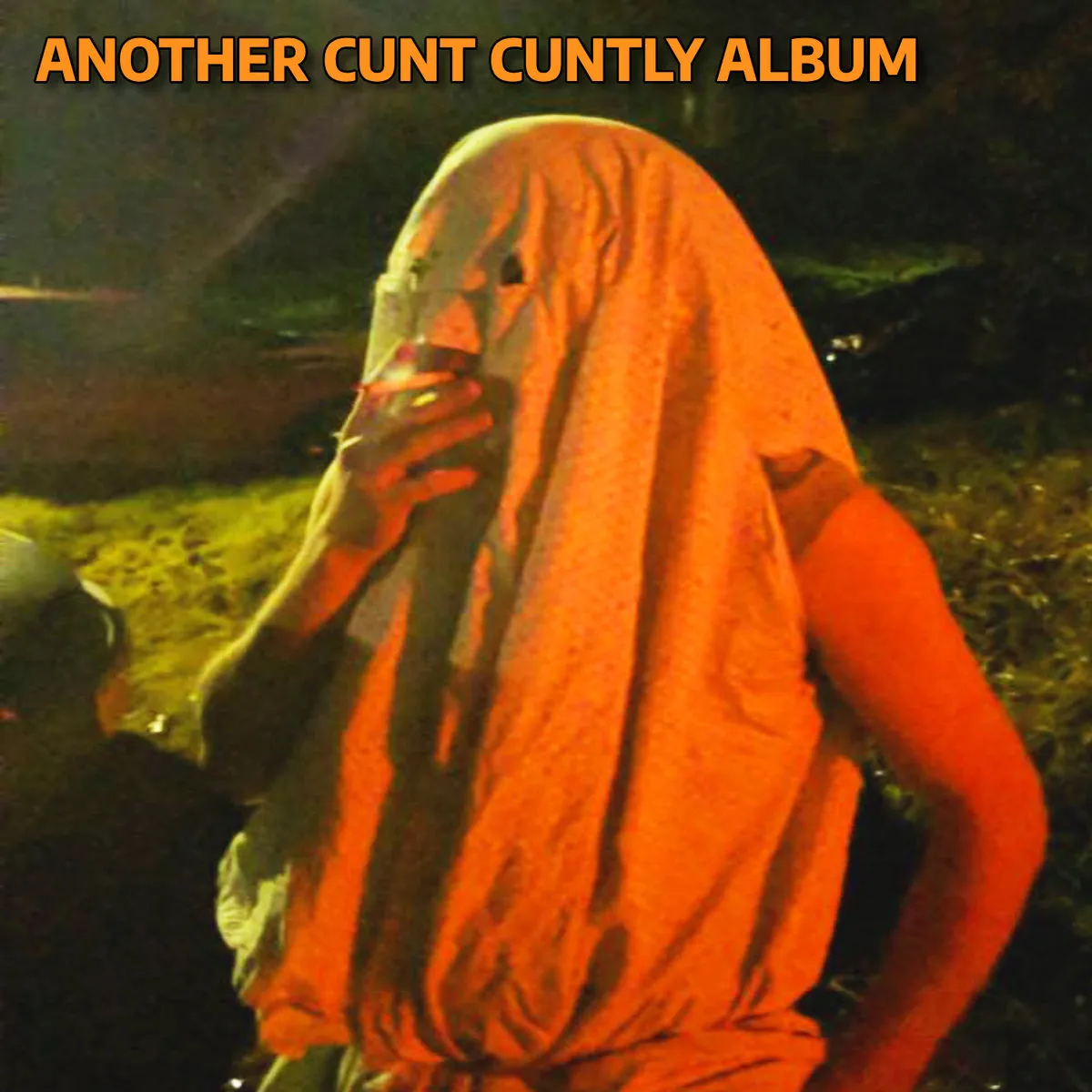Cunt Cuntly - Another Album Album Cover