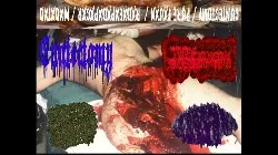 Cuntectomy - 4 Way Split Album Cover