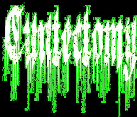 Cuntectomy - Annoyances Album Cover