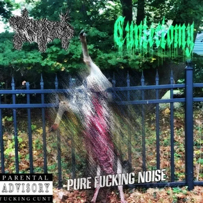 Cuntectomy - Pure Fucking Noise Album Cover Artwork