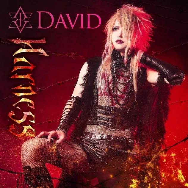 David - Harness Album Cover