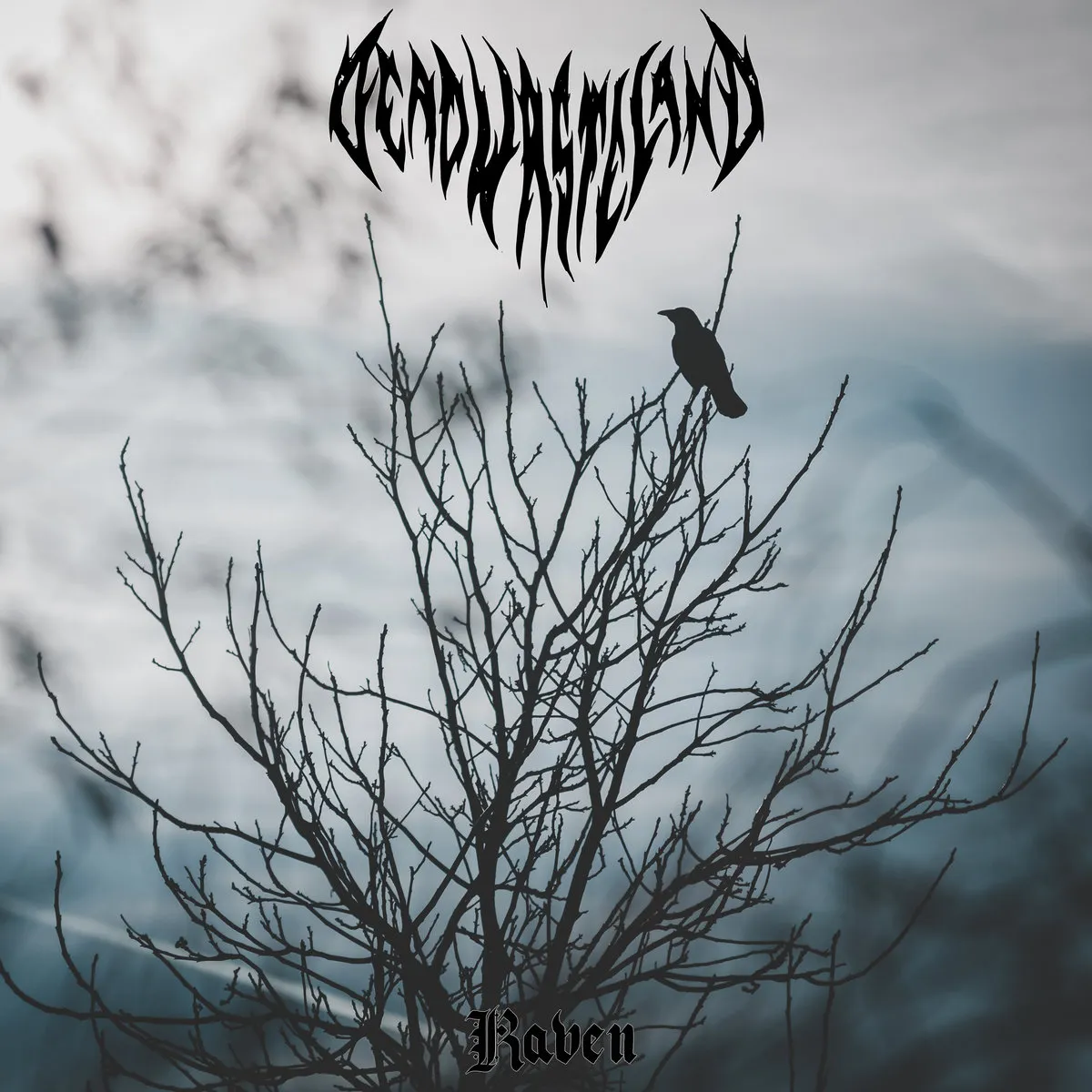 Dead Wasteland - Raven Album Cover