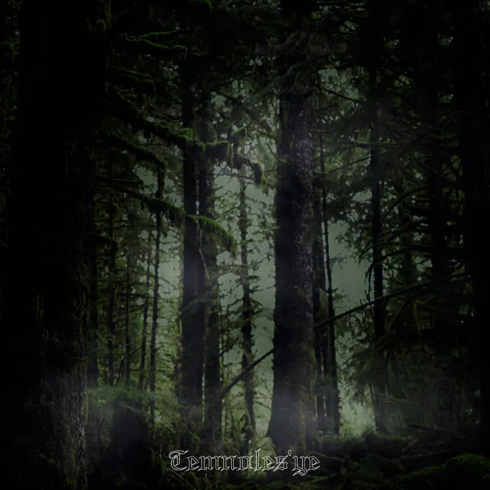 Dead Wasteland - Temnoles'ye Album Cover