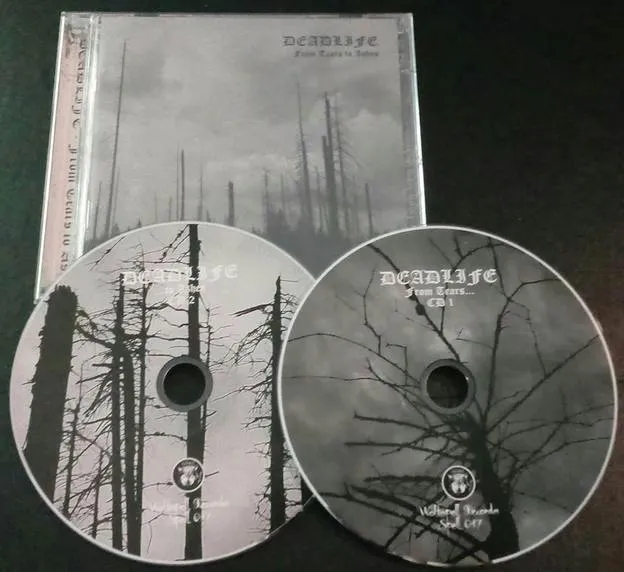 Deadlife - From Tears to Ashes Album Cover Artwork